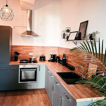 Oasis Appart - Wohnen Im Koenigspark - Elbhang Dresden - Grosse Terrasse - Netflix - Tg 外观 照片