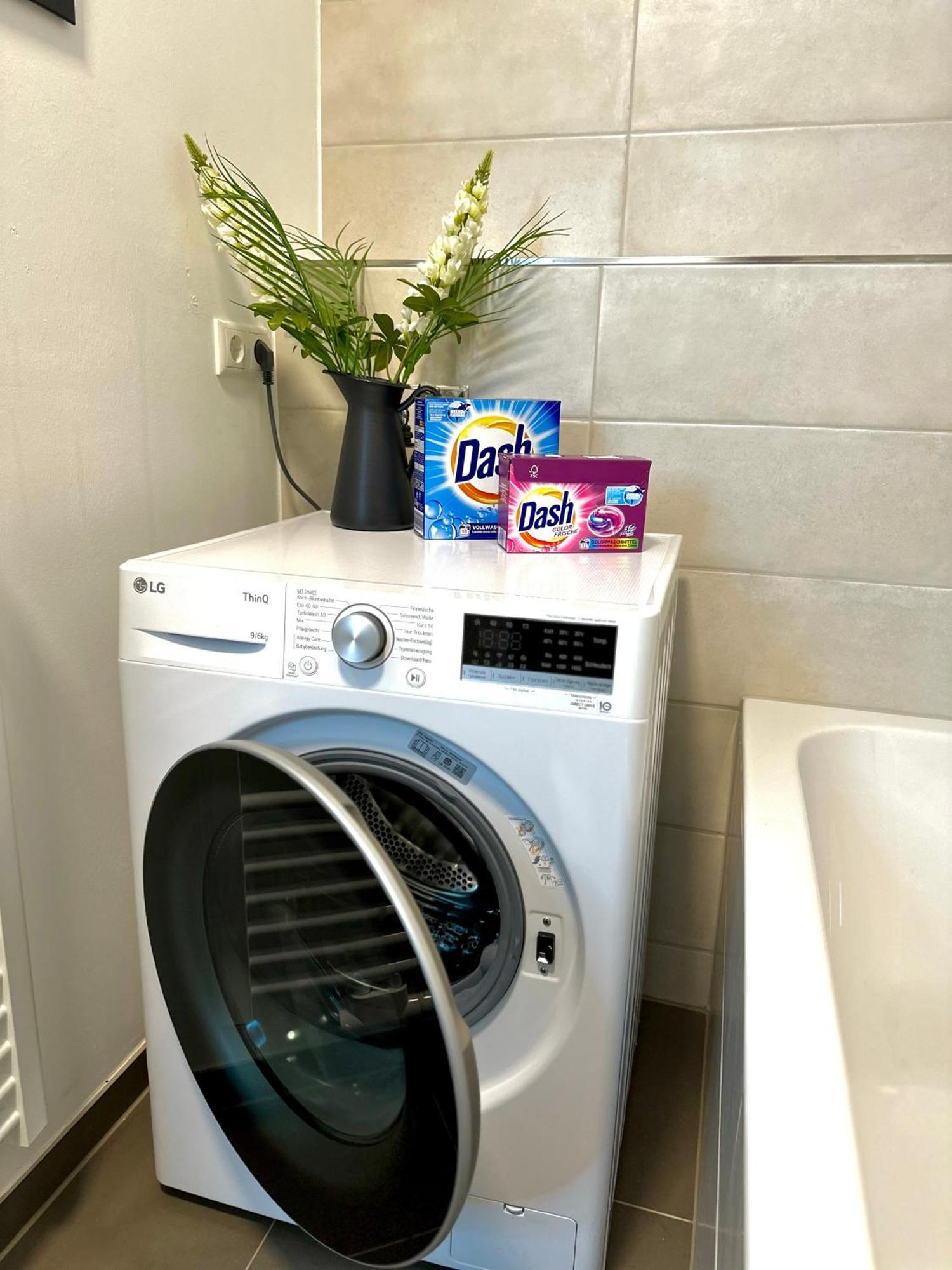 Oasis Appart - Wohnen Im Koenigspark - Elbhang Dresden - Grosse Terrasse - Netflix - Tg 外观 照片