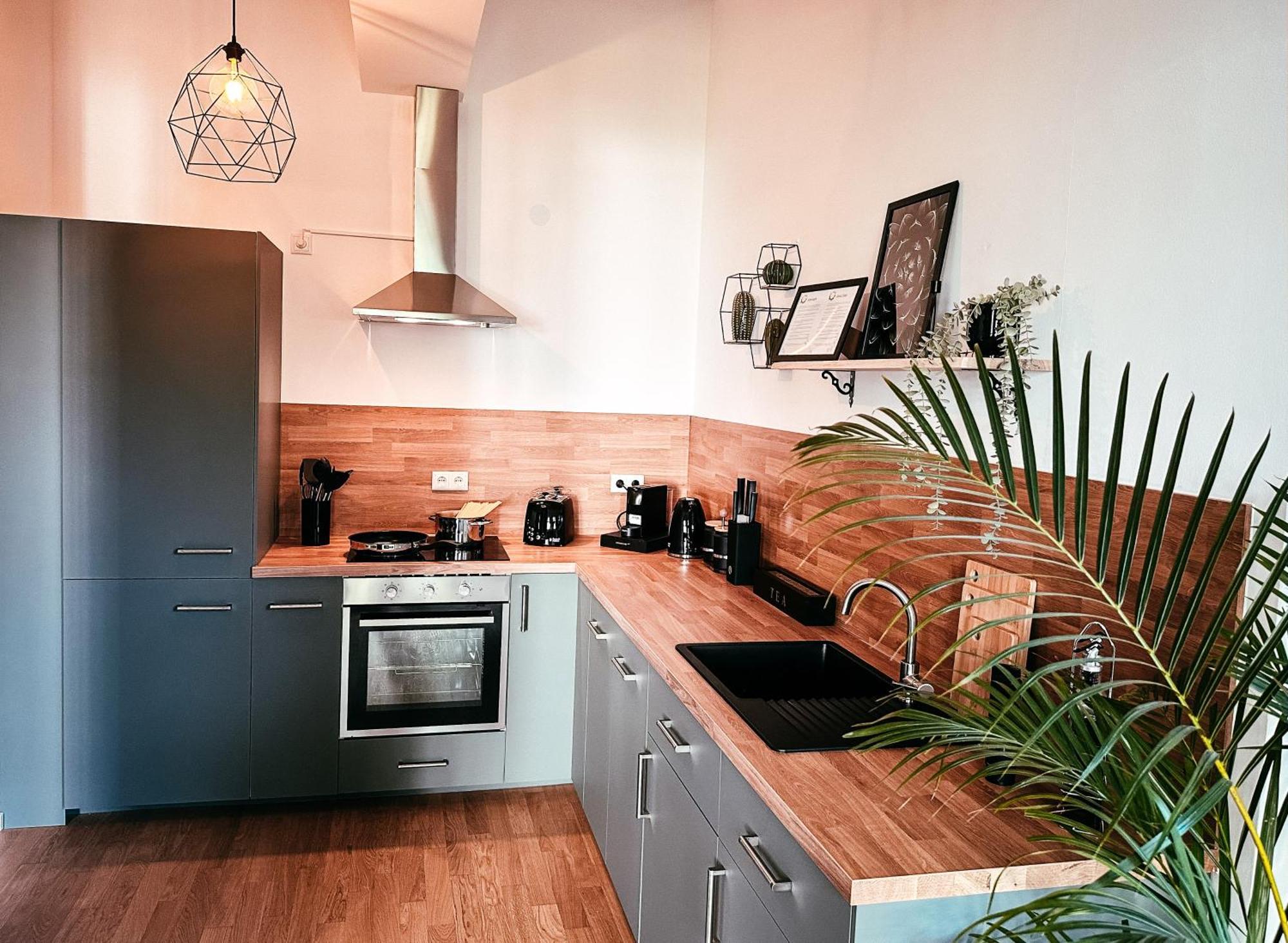 Oasis Appart - Wohnen Im Koenigspark - Elbhang Dresden - Grosse Terrasse - Netflix - Tg 外观 照片